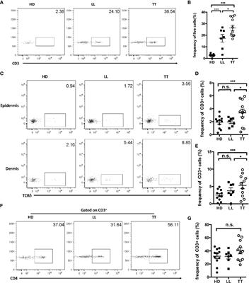 The protective role of tissue-resident interleukin 17A–producing gamma delta T cells in Mycobacterium leprae infection